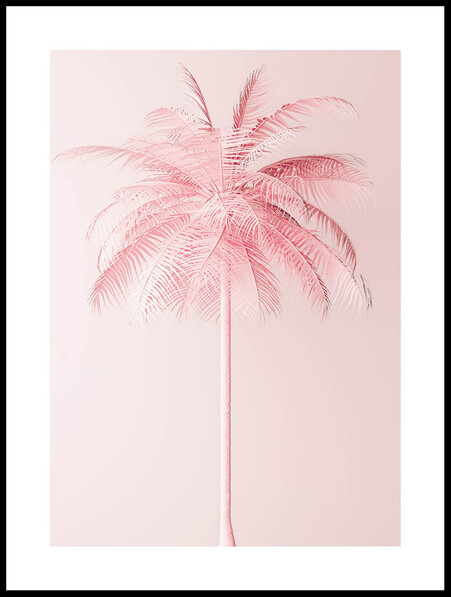Rosa Palm  - Poster - Rosa