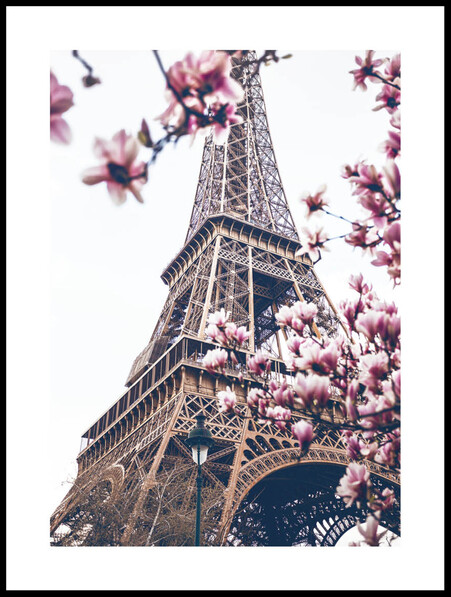 Vår I Paris - Poster - Rosa