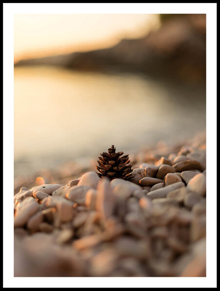 Kotte på Strand - Poster - Gul