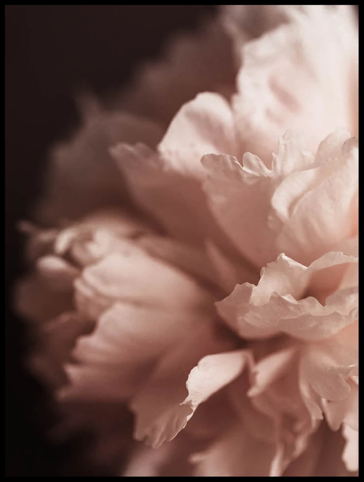 Blomblad - Poster - Grå