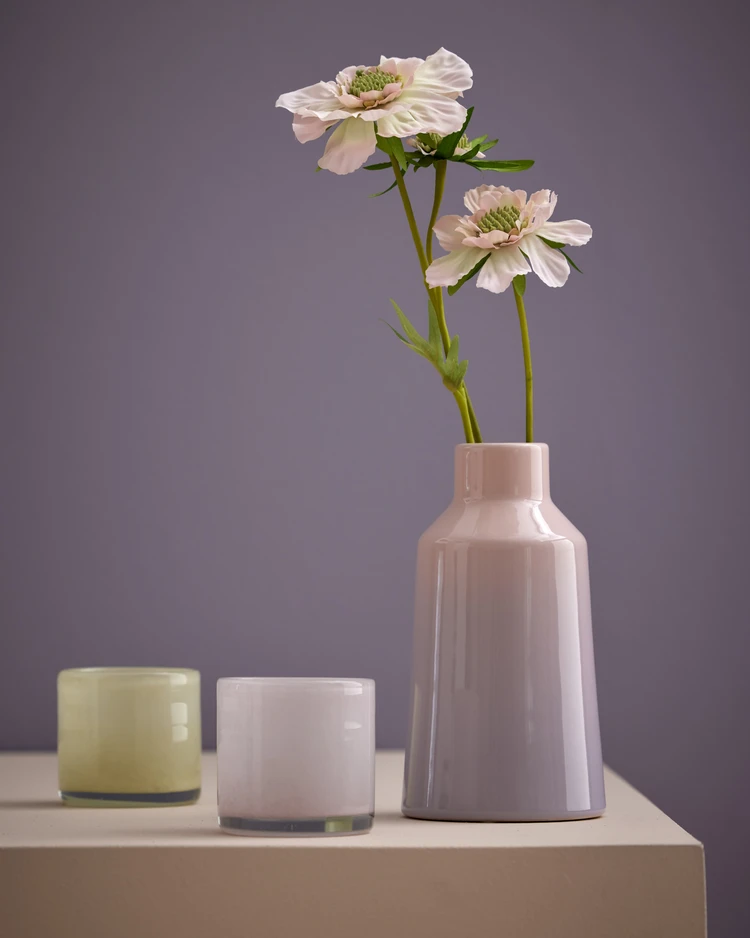 Fältvädd - Snittblomma, H 75 cm - inspiration