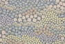 Blomsterhav - Avtorkningsbar duk, 140x250 cm - Flerfärgad