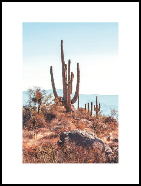 Landskap I Scottsdale  - Poster - Brun