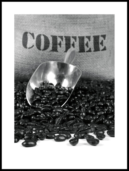 Coffee - Poster - Vit