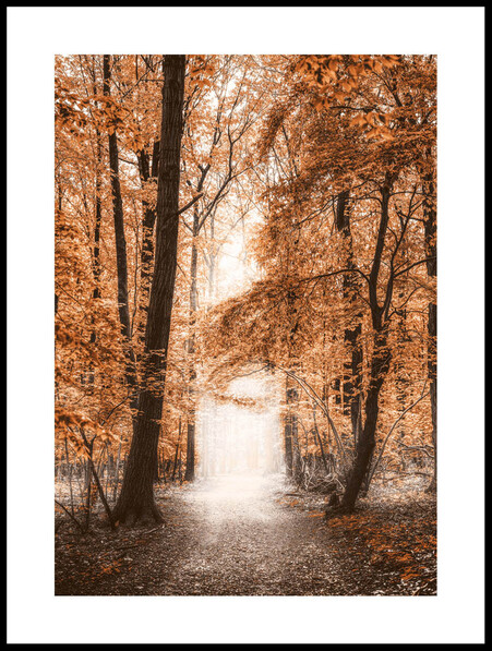 Höstens Väg - Poster - Orange