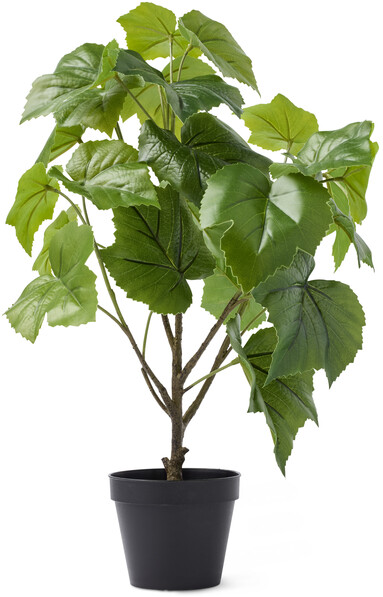 Vindruva - Konstväxt i kruka, H 53 cm - Grön
