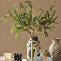 Eucalyptus - Snittblomma, H 70 cm - inspiration