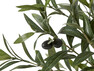 Oliv - Konstväxt i kruka, H 150 cm - Grön
