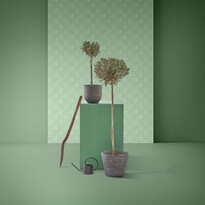 Olivträd - Krukväxt, 70 cm - inspiration