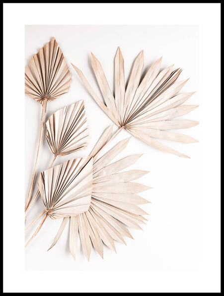 Beiga Palmblad  - Poster - Beige