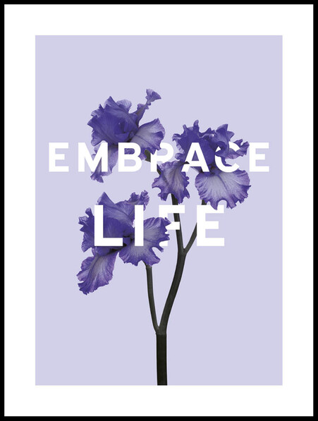 Embrace Life  - Poster - Lila