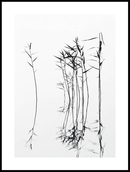 Lugnt Vatten  - Poster - Svart
