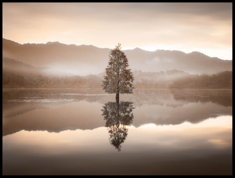 Reflektion - Poster - Beige