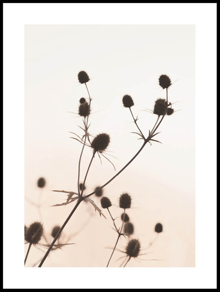 Silhouette  - Poster - Beige