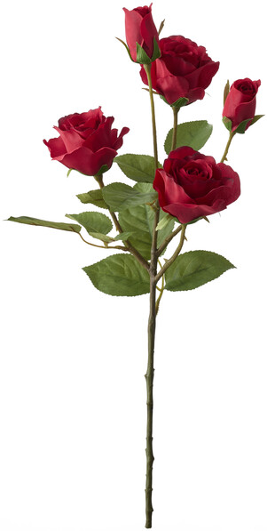 Ros - Snittblomma, H 52 cm - Röd