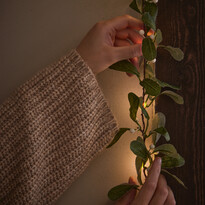 Mistel - Ljusslinga, L 180 cm, timer - inspiration