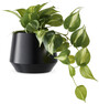 Holly - Kruka, Ø 25, H 21 cm - Svart