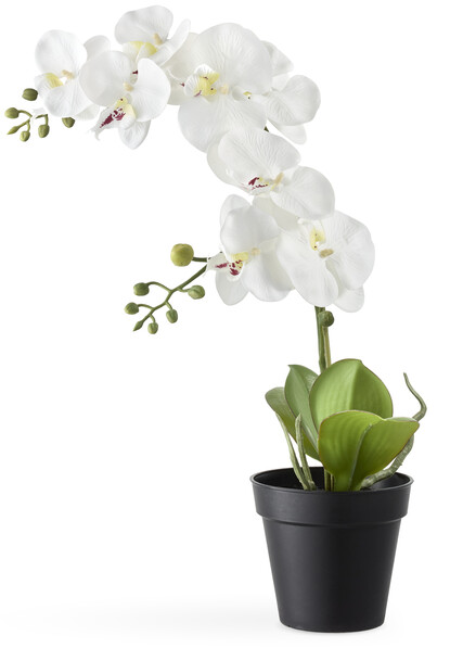 Orkidé - Konstväxt i kruka, H 65 Ø 20 cm - Vit