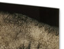 Elefant - Tavla, 70x100 cm - Grå