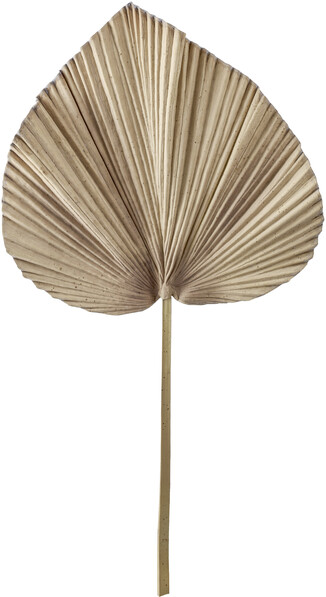 Palmblad - Blomdekoration, H 79 cm - Brun