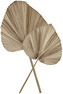 Palmblad - Blomdekoration, H 79 cm - Brun