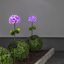 Hortensia - Solcellsbelysning, H77 cm - inspiration