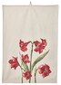 Amaryllis - Kökshandduk 50x70 cm - Beige