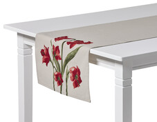 Amaryllis