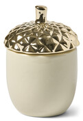 Acorn