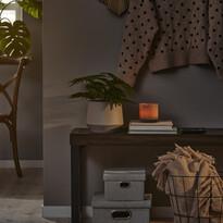 Woodenforge - Bänk till matbord,155x35x48 cm - inspiration