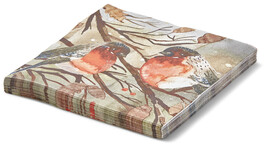 Winterbirds