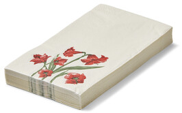 Amaryllis