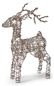 Rudolf