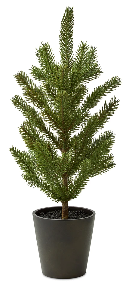 Pinetree - Julgran, H 55 cm - Grön