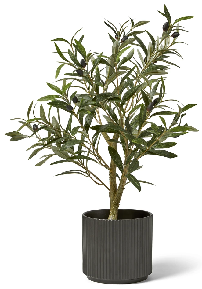 Olivträd - Konstväxt i kruka, H 67 Ø 42 cm - Grön