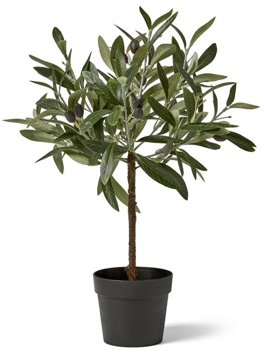 Olivträd, Konstväxt i kruka, H 40 Ø 30