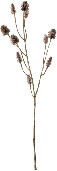 Tistel - Snittblomma, H 56 cm - Lila