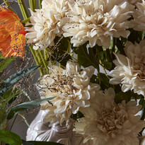 Dahlia - Snittblomma, H 55 cm - inspiration