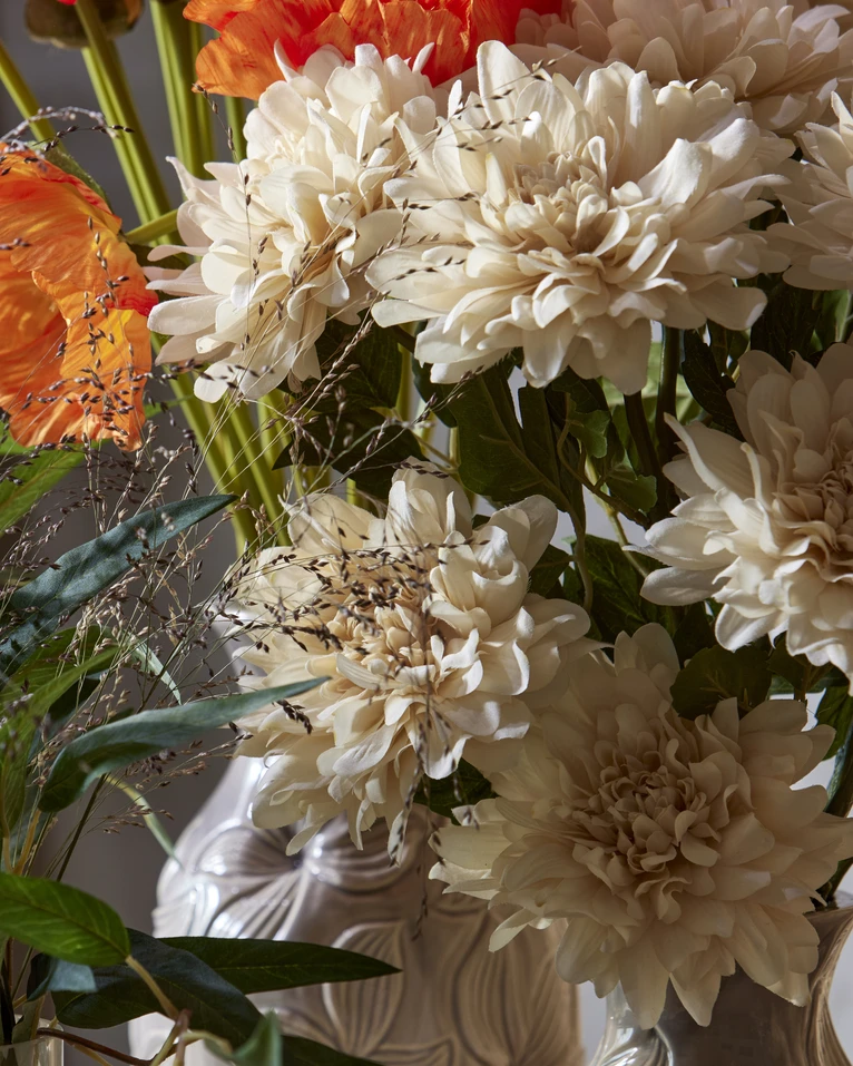 Dahlia, Snittblomma, H 55 cm