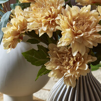 Dahlia - Snittblomma, H 55 cm - inspiration