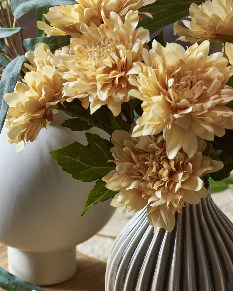 Dahlia - Snittblomma, H 55 cm - inspiration