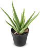 Aloe Vera - Konstväxt i kruka, H 34 Ø 23/14 cm - Grön