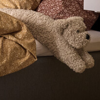 Curly - Hund - inspiration