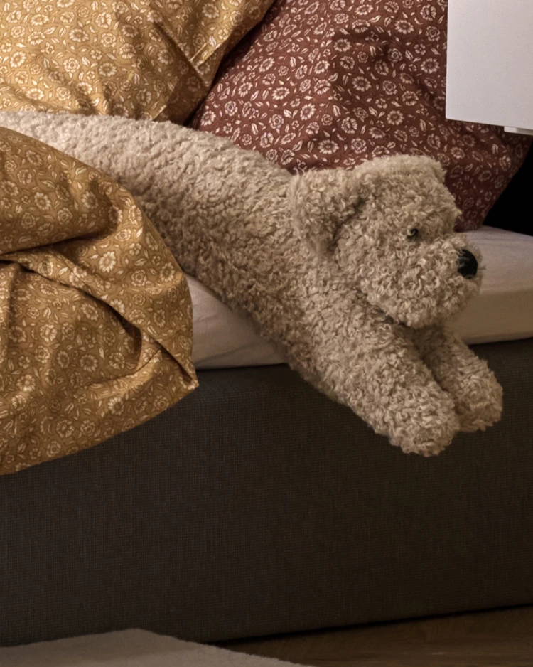 Curly - Hund - inspiration