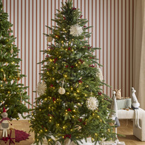 Åre Deluxe - Julgran, H 210 Ø 145 cm, LED-belysning och dimmerfunktion - inspiration
