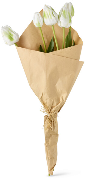 Tulpan - Snittblomma i bukett, 16x7x50 cm - Grön