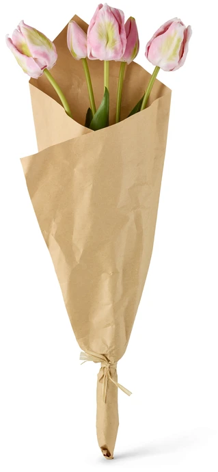 Tulpan, Snittblomma i bukett, 16x7x50 cm