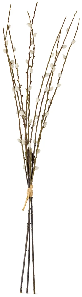 Vide - Konstväxt, H 80 Ø 5 cm - Brun