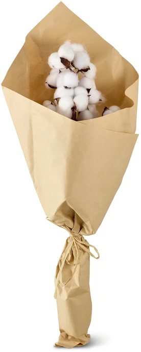 Josefina, Konstväxt, 30x20x70 cm    