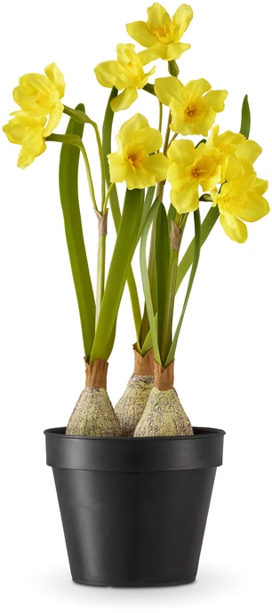 Påsklilja, Konstväxt i kruka, H 37 Ø 18